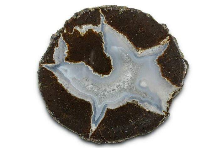 Colorful Polished Thunderegg Half - Nevada #337752